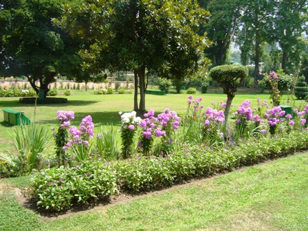 Mughal garden Shalimar